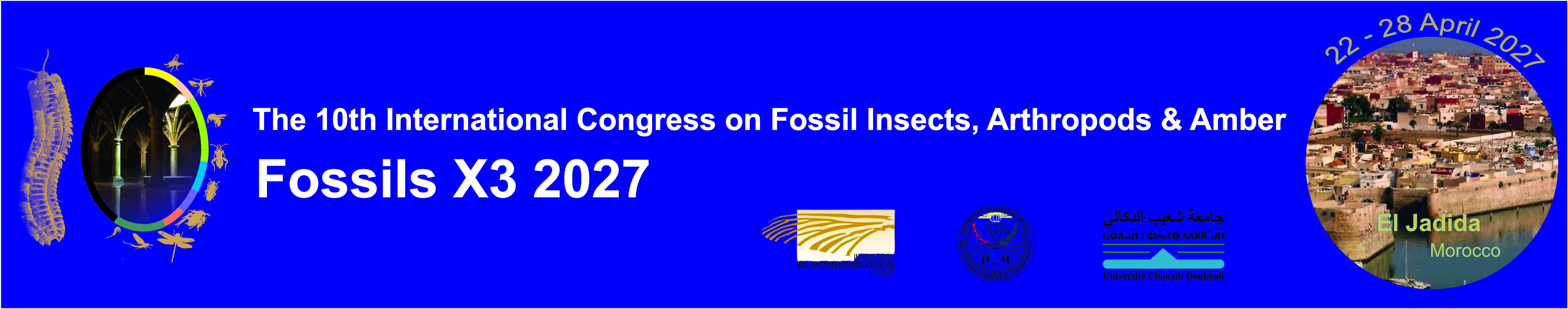 The 10th International Congress on Fossil Insects, Arthropods and Amber FOSSIL X3>