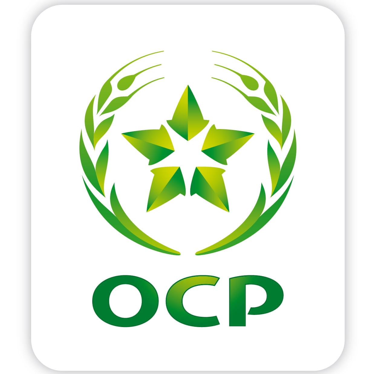 Logo_OCP.jpg